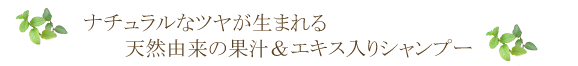 アルマダスタイル